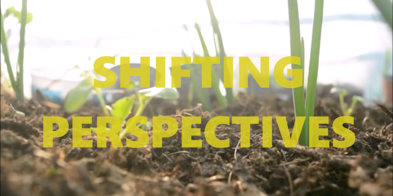 Shifting perspectives