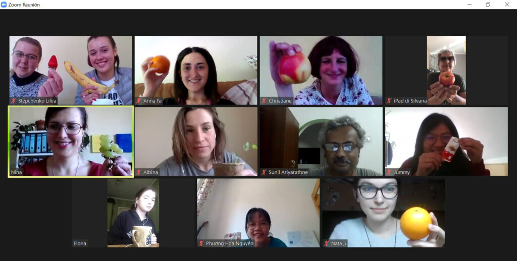 First SCI online workcamp 2020
