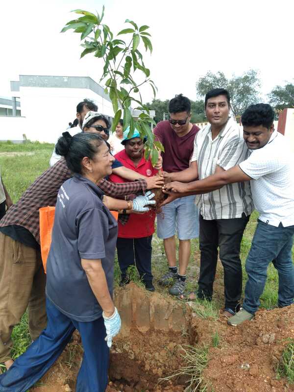 APM plating tree workshop, there's people holding a small tree ready to put it on, what seems a hole in the ground