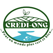 CREDI ONG – Centre Regional de Recherche at d’Education pour un developpement integre
