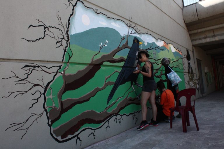 Paint the walls away in Mitrovica