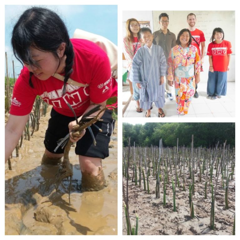 Planting 10,000 Mangroves in Mangkang