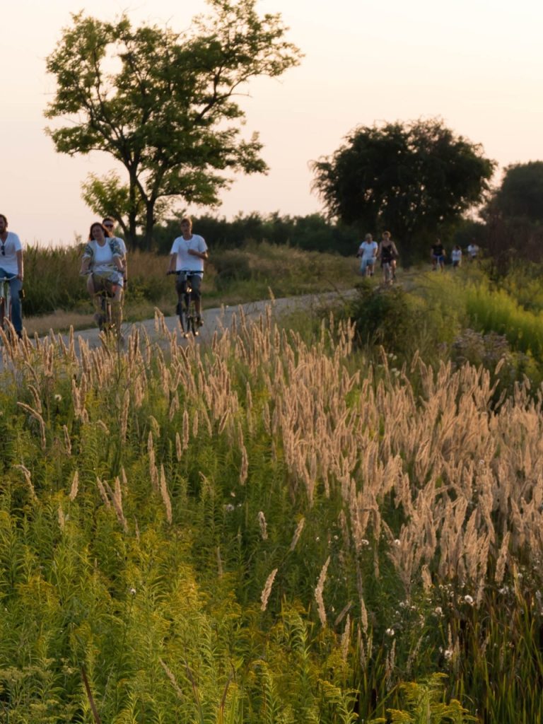 Volunteering On 2 Wheels