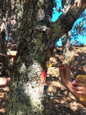 My fourteen days in Portugal