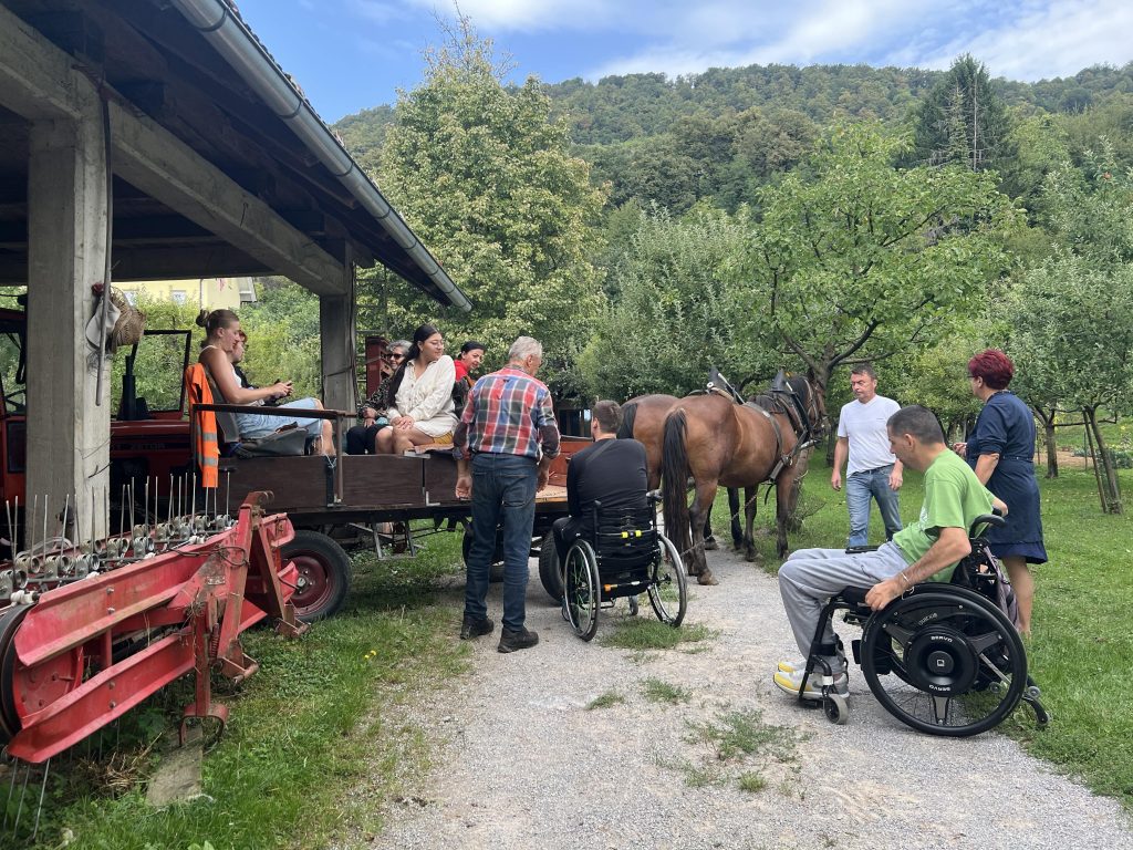 Picture of some of the Members and Volunteers going for a Carriage ride