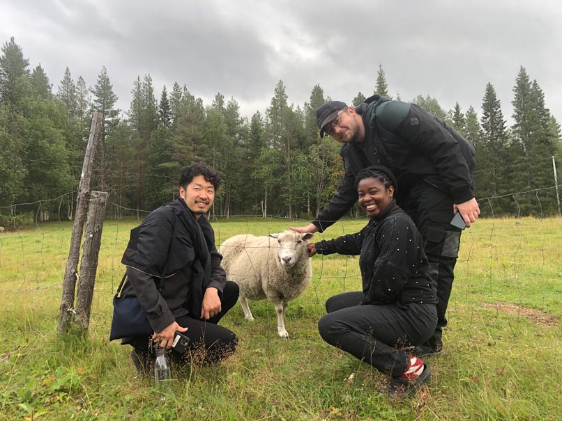 3 people petting a sheep and smiling for a picture