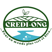 CREDI ONG logo