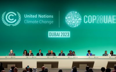 COP28: reflections of an activist