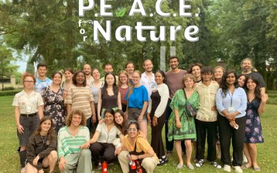 Youth Engage in Climate Activism through PEACE for Nature