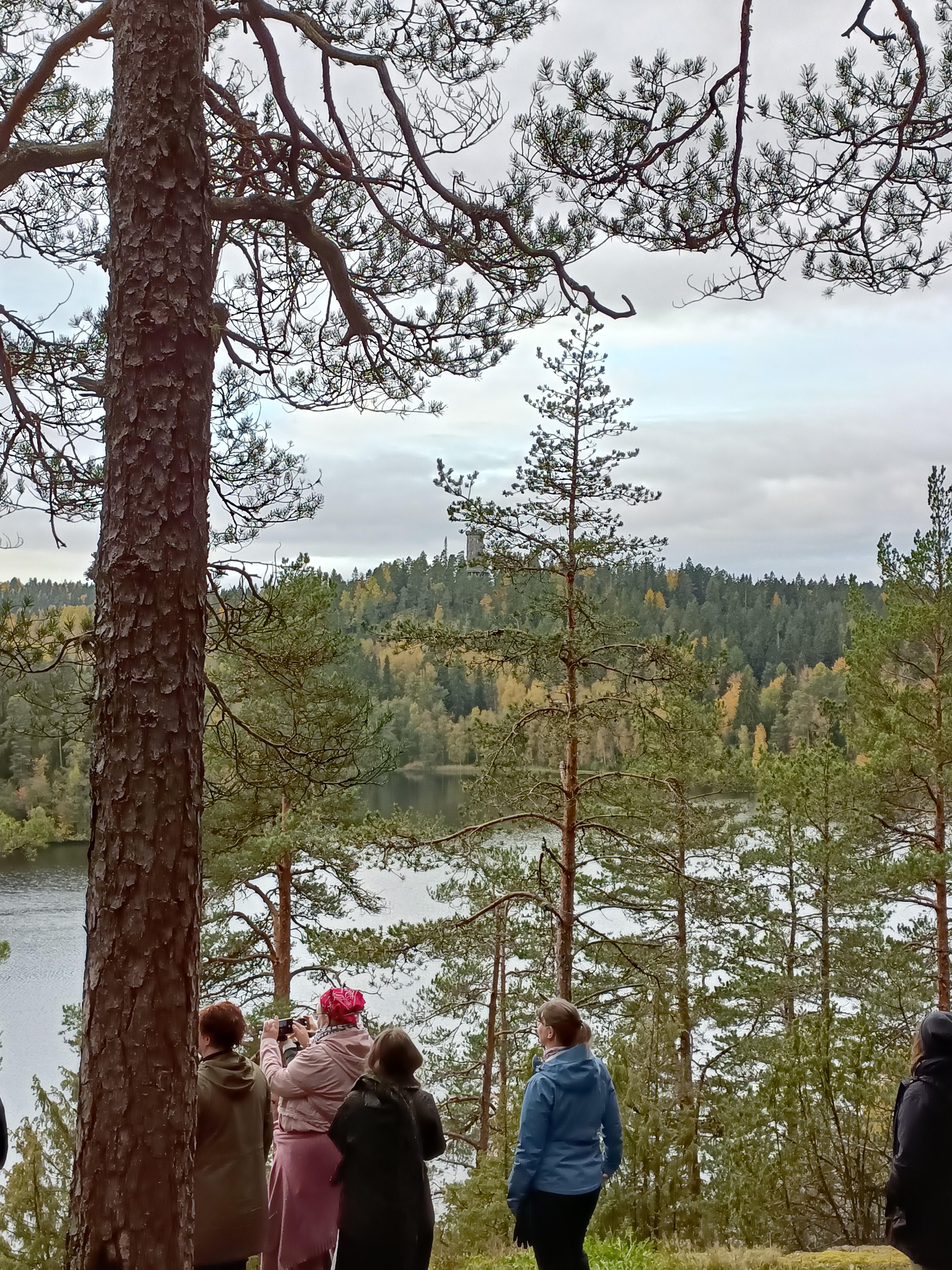 Photograph of people taking a hike, it shows a forest and we can see people looking at the view