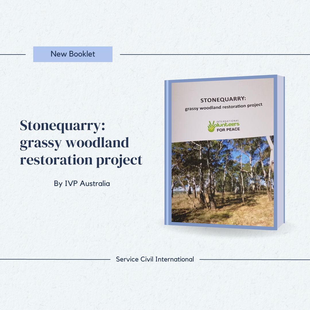 Stonequarry: grassy woodland restoration project by IVP Australia