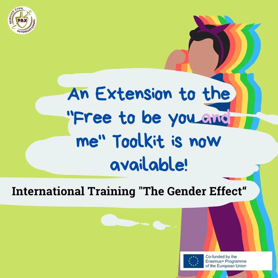 Poster of International Training The Gender Effect