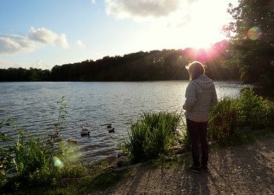 Descovering Culture and Nature:  Alcebiades workcamp in  Germany