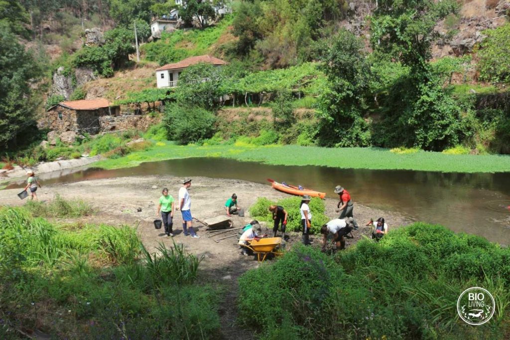 Volunteers Cleaning a River